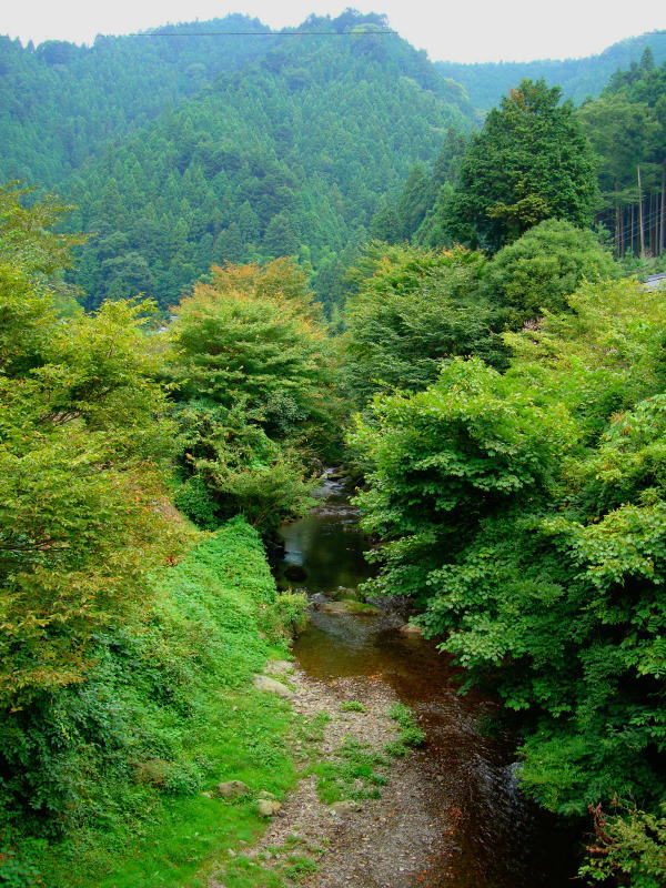 翠渓会関東圏本部・関東南部支部支部釣行【第十四陣】１ 1